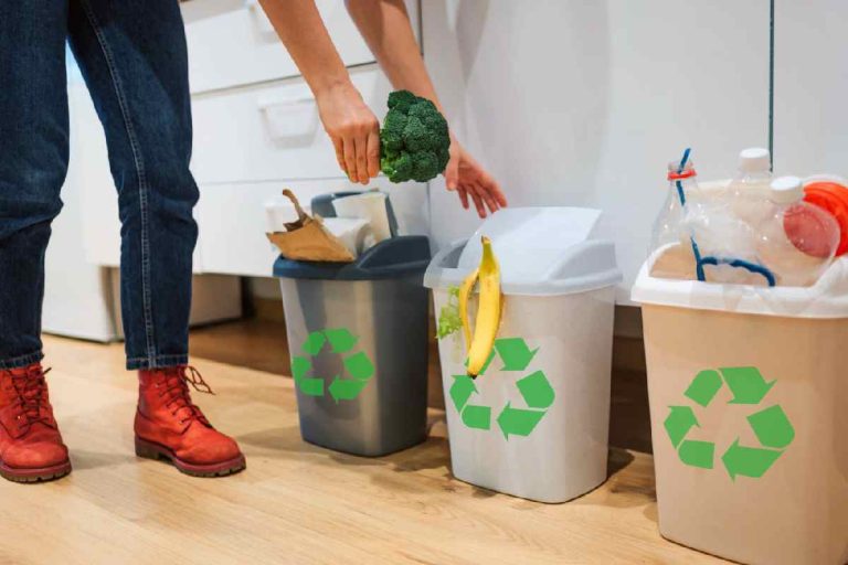Household Waste: Make A Selective Collection?