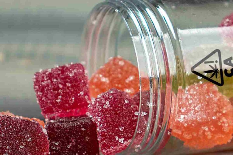 Why Are THC Gummies A Popular Name Amongst The Youth?