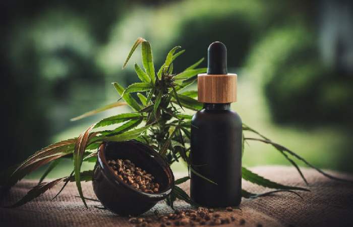Cbd Oil Guest Post