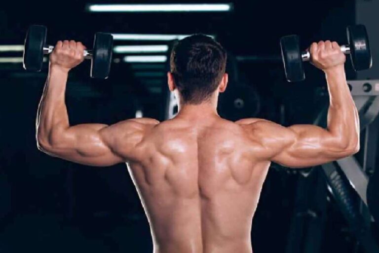 Wellhealth How to Build Muscle Tag – The Effective Nutritions